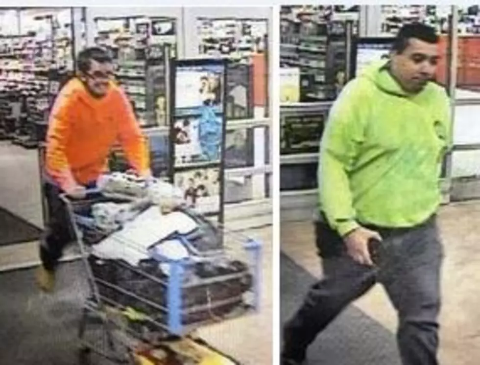 State Police Looking For Larceny Suspects