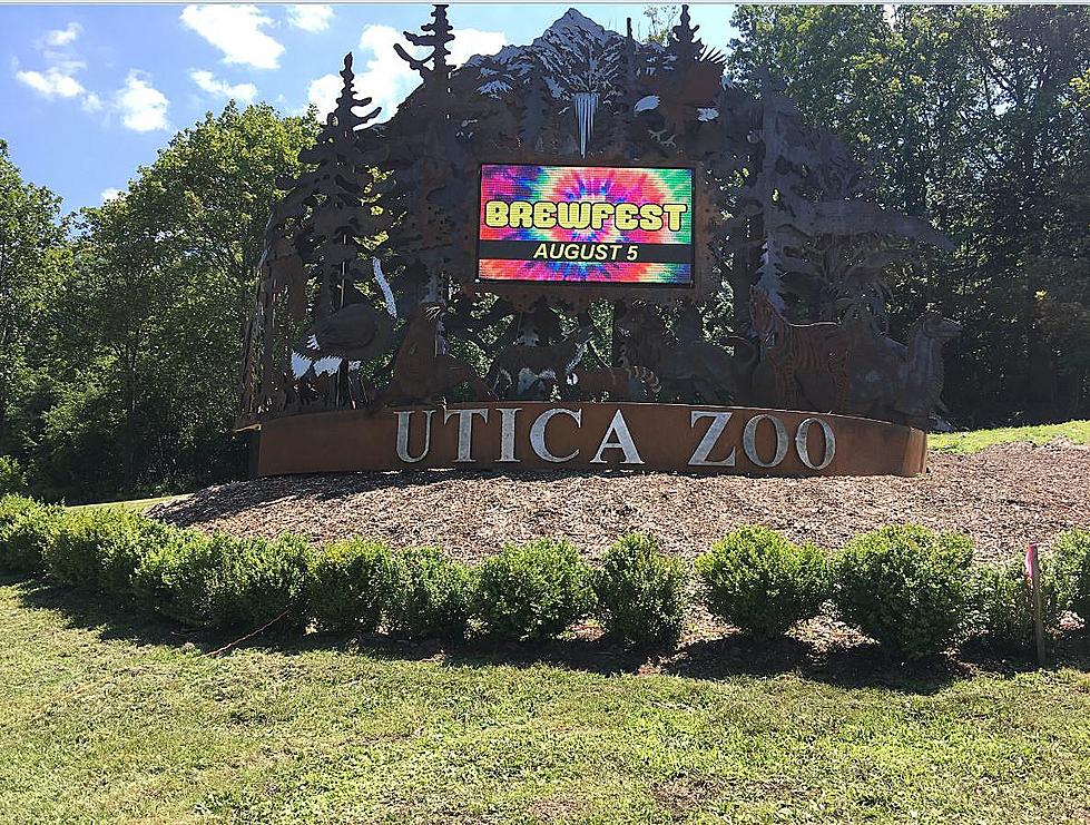 Utica Zoo Gets Association of Zoos And Aquariums Accreditation