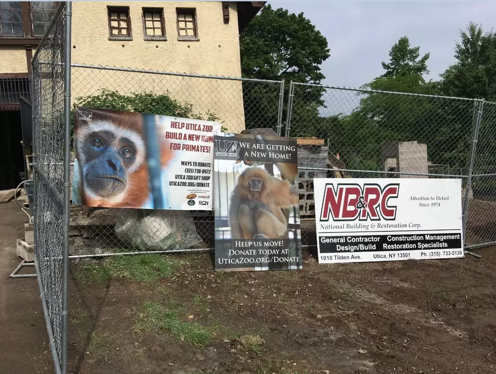 Construction Underway On Utica Zoo's New Primate Building