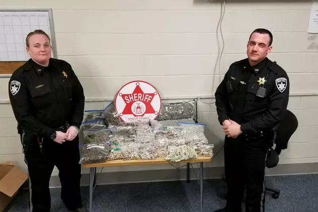 Traffic Stop In Oneonta Leads To Drug Charges
