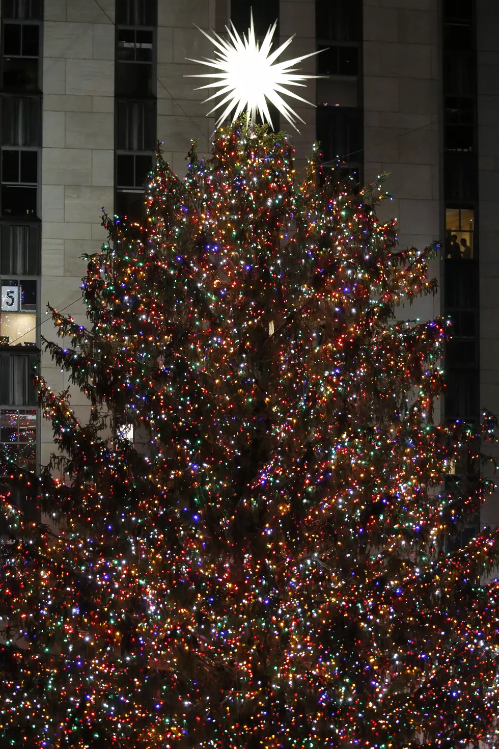 Tis The Season: Rockefeller Center Christmas Tree Lights Up