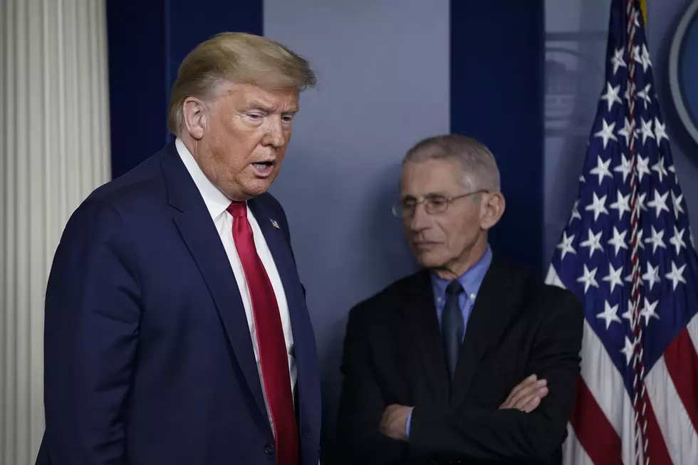 Fauci Comments on US Virus Response Seem to Draw Trump’s Ire