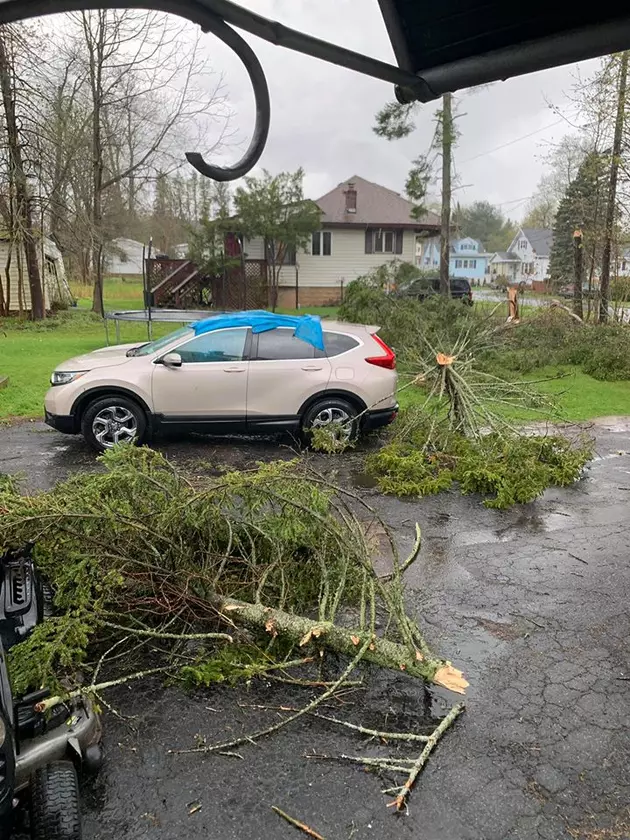 PICS: Severe CNY Storm Lands Trees on SUV in Whitesboro