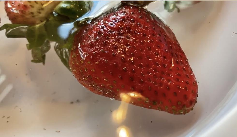 Strawberry In Salt Water, What’s the Real Story?