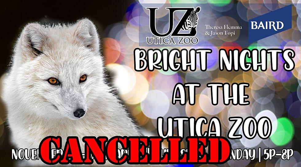 Utica Zoo Cancels Remaining 'Bright Night' Dates
