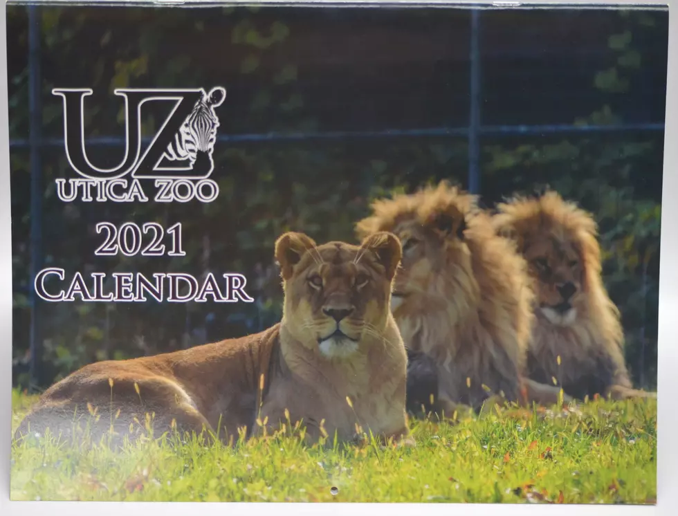 Utica Zoo Selling 2021 Calendars As Revenue Is Down $1 Million