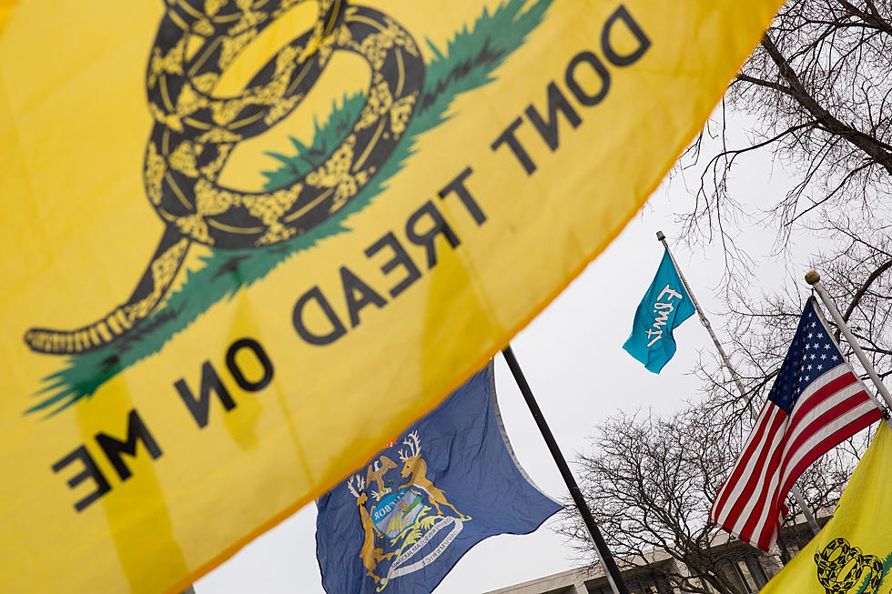 Was This Upstate NY Village Wrong to Remove Gadsden Flag from Village Property?