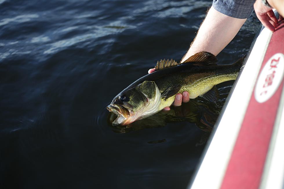The Nation's Best Bass Masters Are On Oneida Lake This Weekend