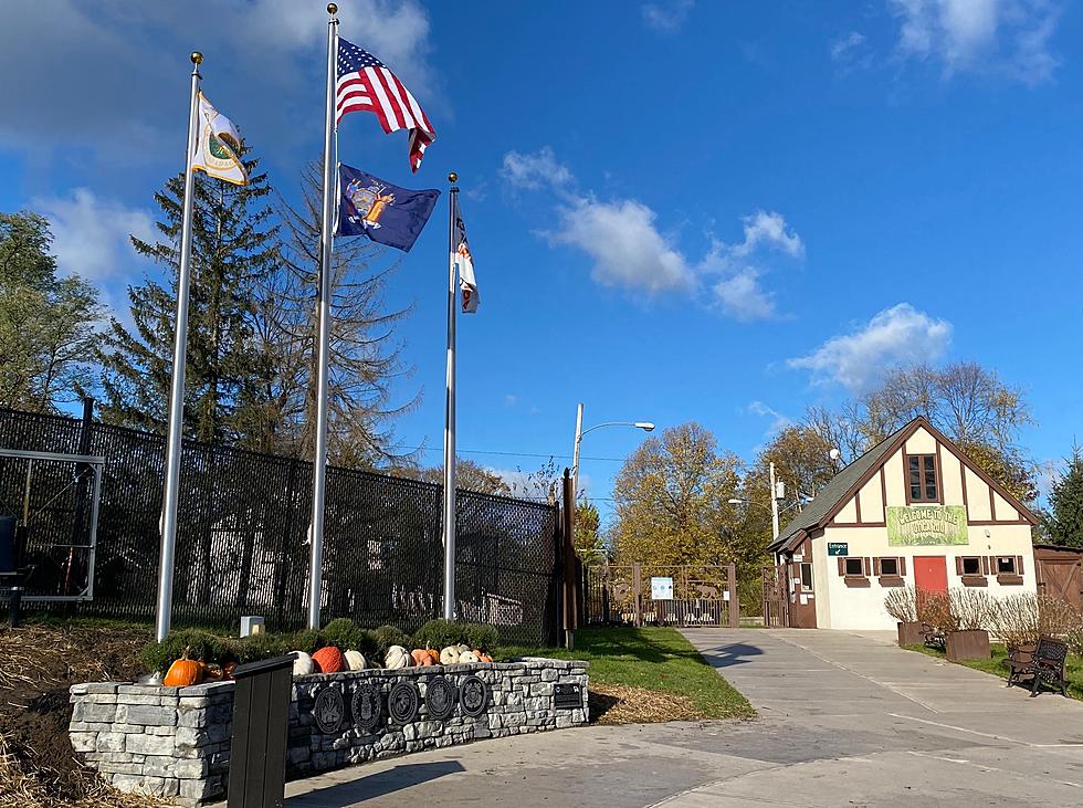 Utica Zoo Unveils New Flag Garden Ahead Of Veterans Day