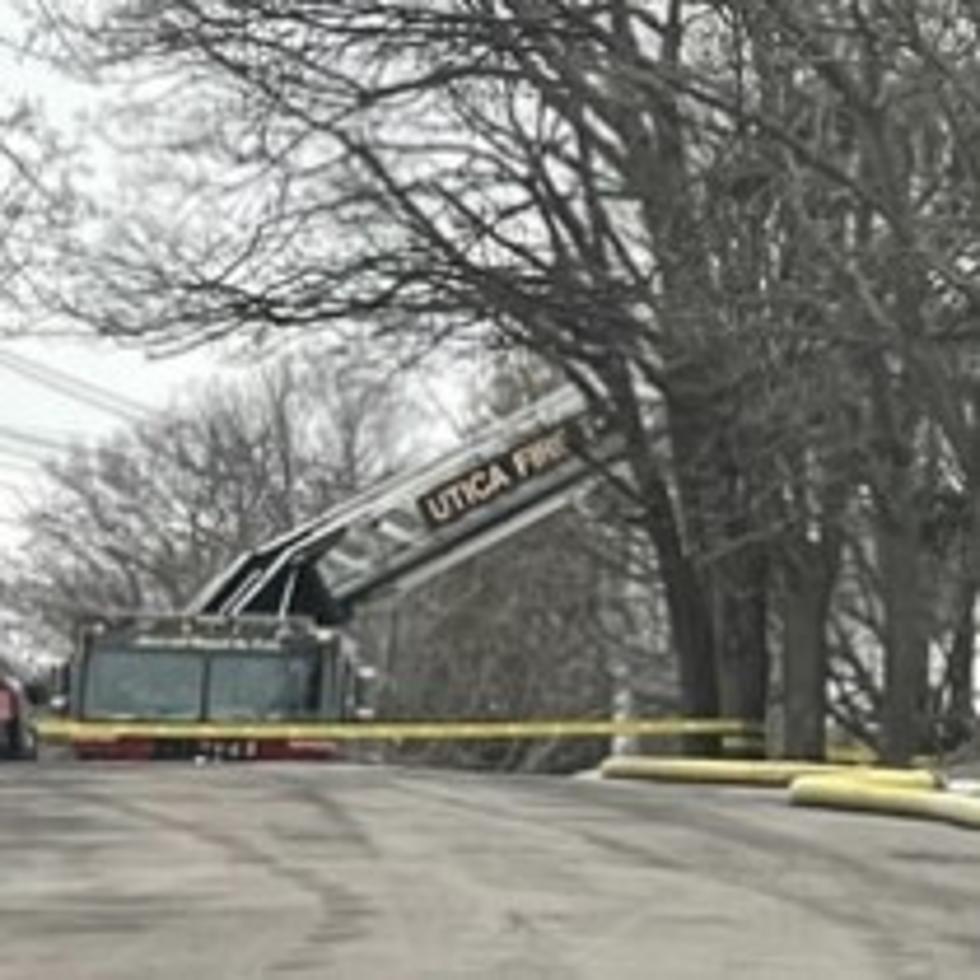 Two Children Killed in Utica House Fire