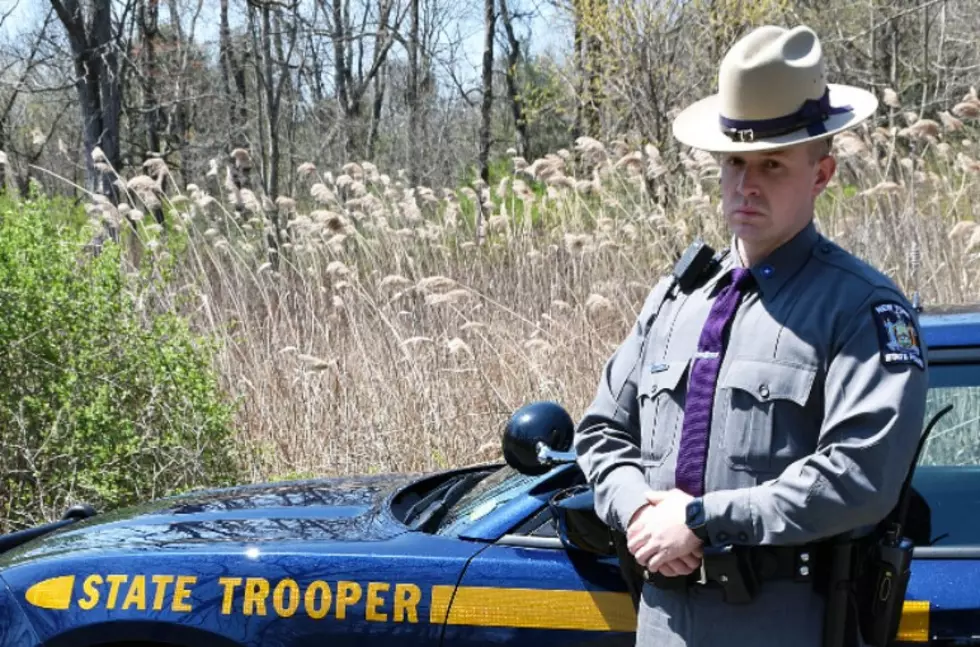 Quick Thinking, Hero Rookie Trooper Saves Child's Life on Taconic