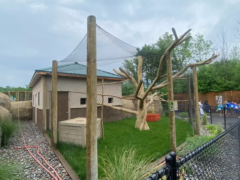 Wild Animal Park In Chittenango To Debut Four New Exhibits