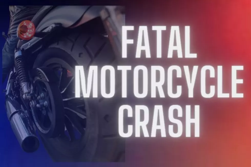 Fatal Crash with Deer, Motorcycle Under Investigation