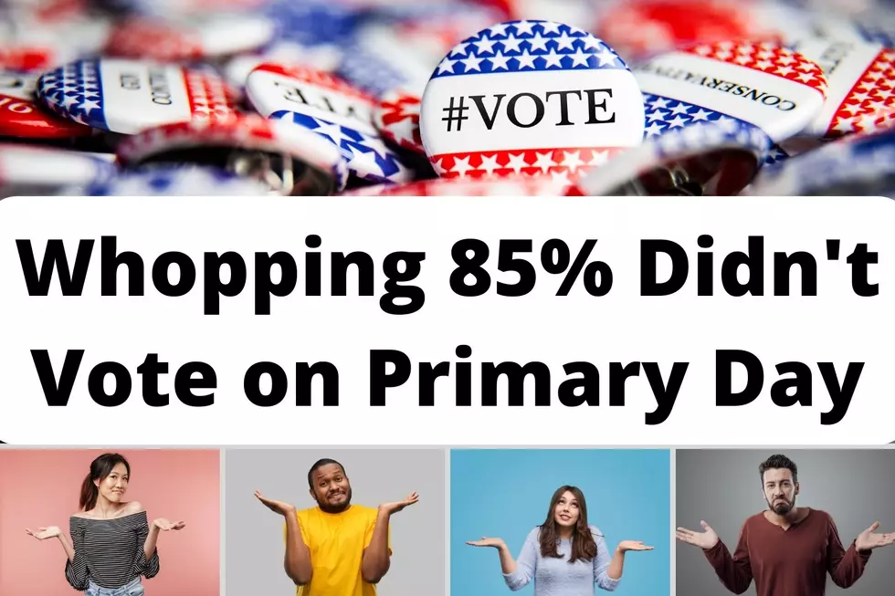 NY Voters Don't Vote - Abysmal Turnout on Primary Day