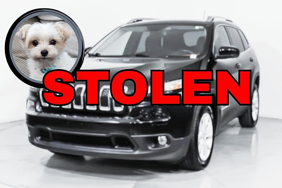Jeep Stolen in Upstate New York Had Owner’s Dog Inside