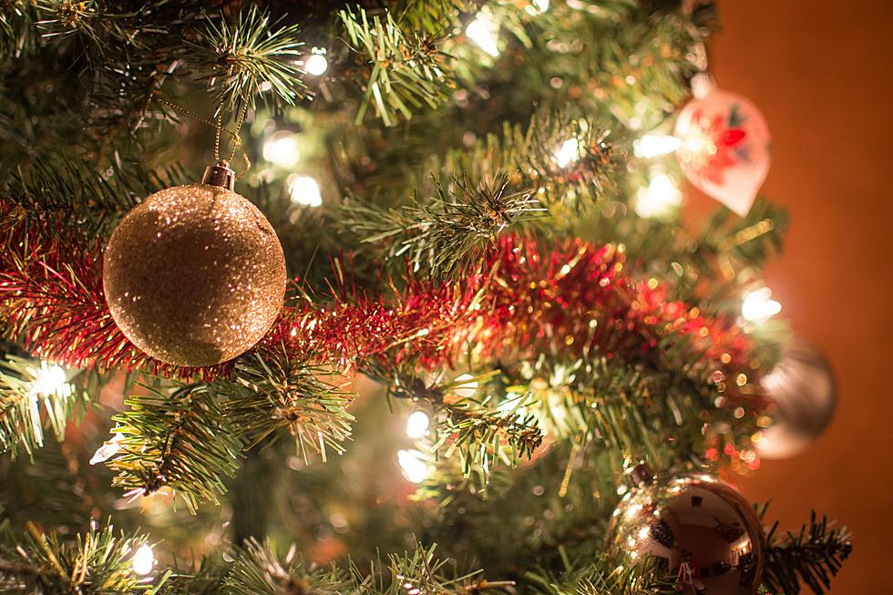 Official Etiquette for Decorating Your Christmas Tree This Year