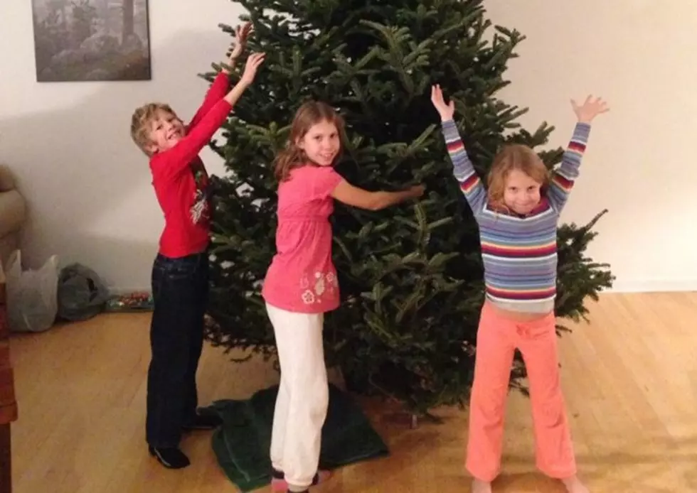 Real Christmas Trees Vs. Fake – The Pros & Cons, What Would You Do?