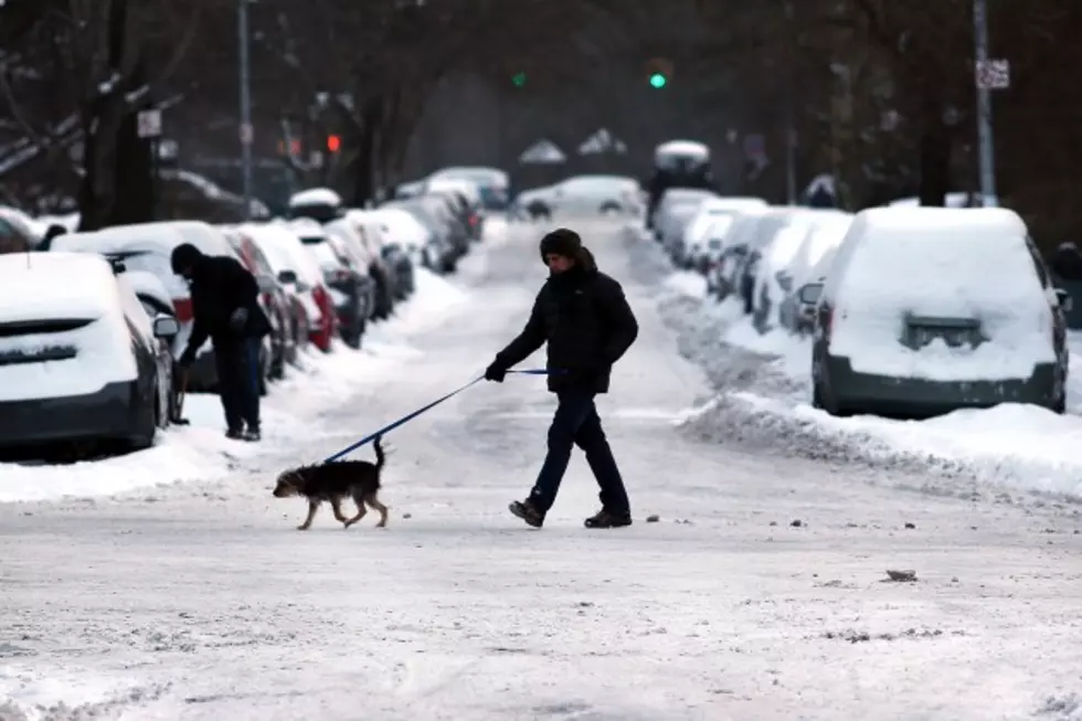 This Horrible Winter Has Affected More Than Just Us [VIDEO]
