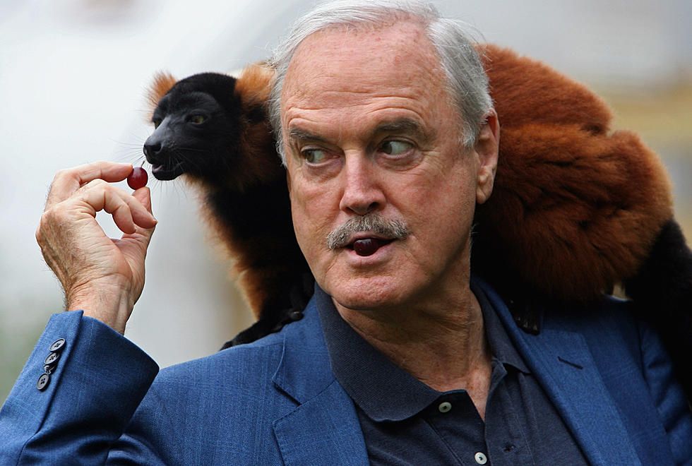John Cleese Sums Up About Being Stupid