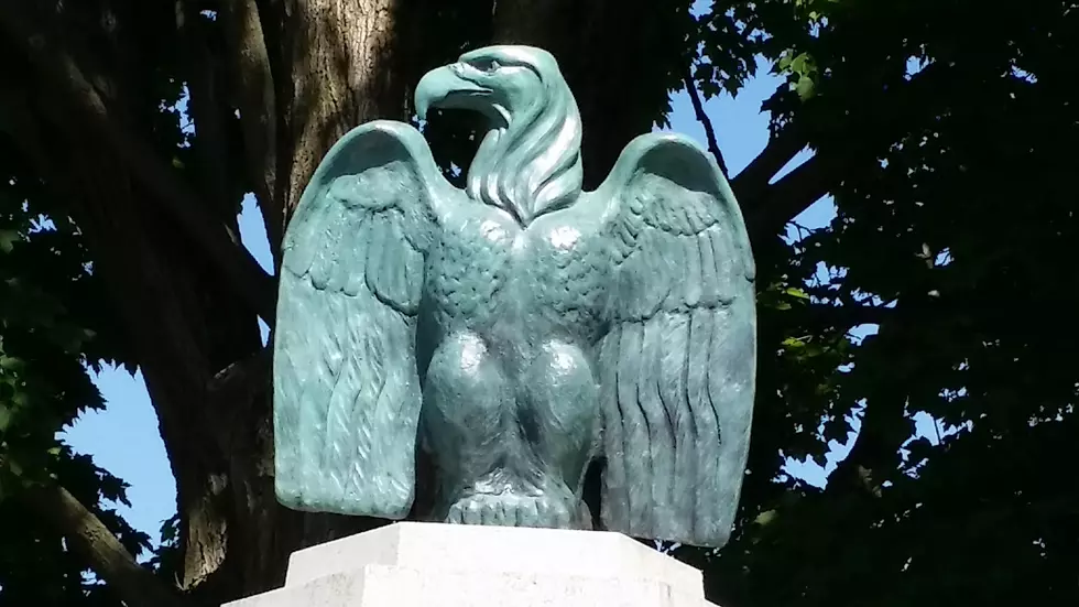 New Eagle Dedicated In New York Mills Veterans Park
