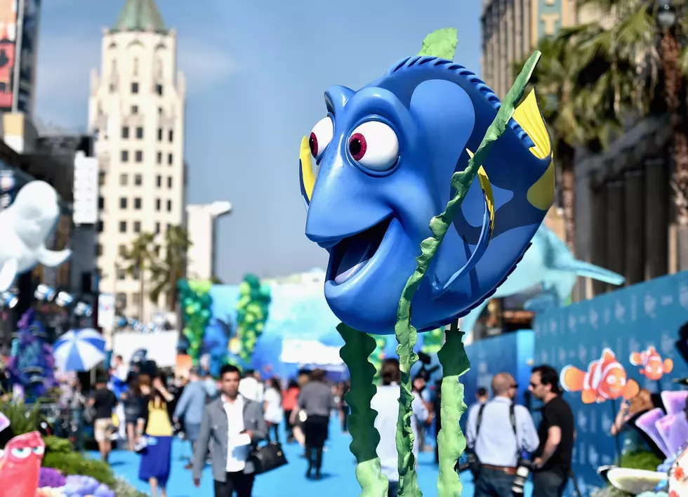 After ‘Finding Dory’ Release, Influx Of Fish Purchases