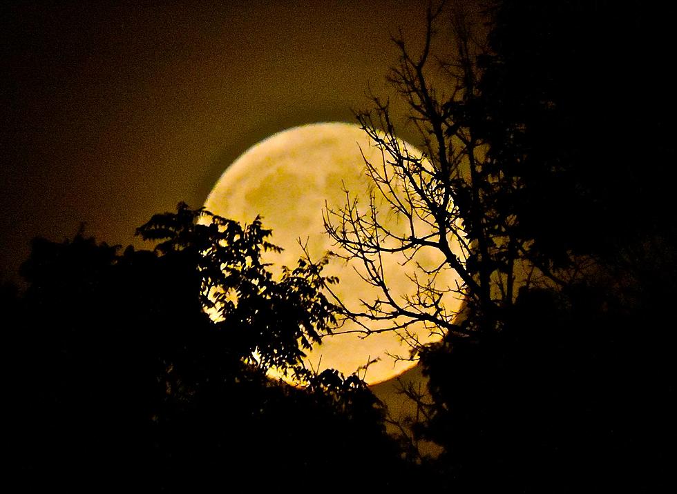 When Can You See The Biggest Supermoon In 70 Years?