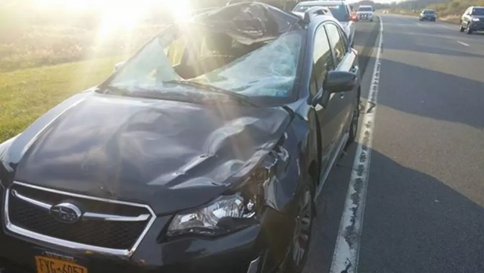 Deer Crashes Through Windshield of New York Driver