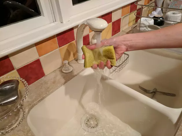 Is your Kitchen Sponge Making You Sick?