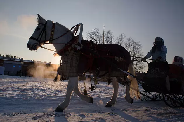 5 Places In Upstate New York Where You Can Ride In A Sleigh