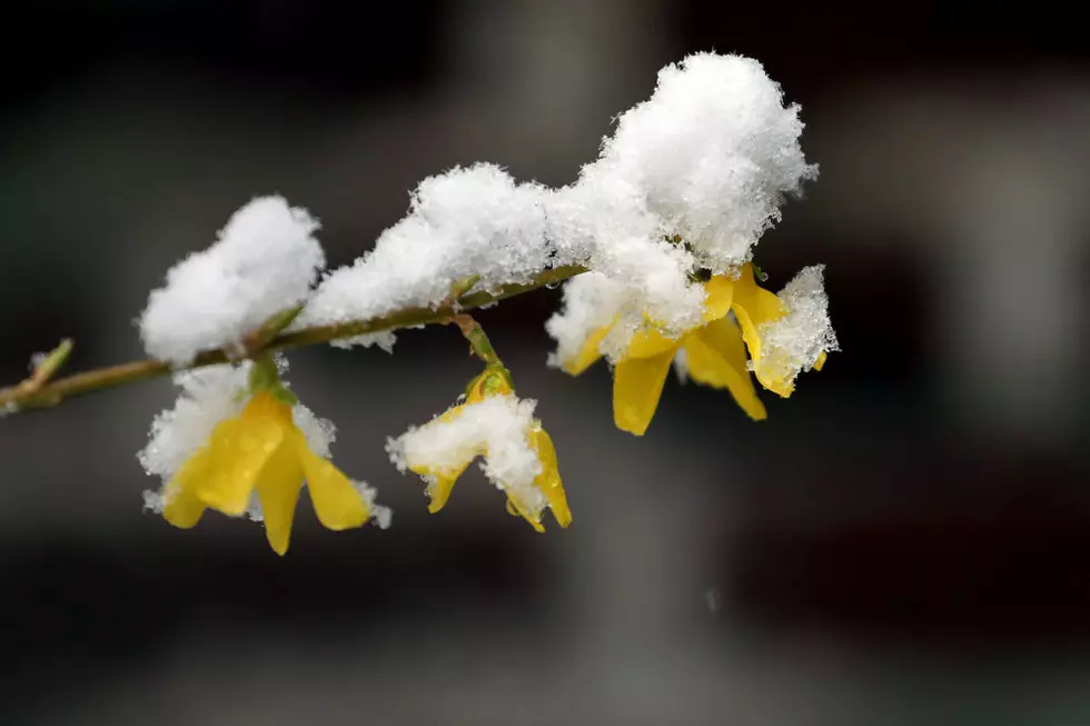 More Spring Snow Possible All Week For Central New York