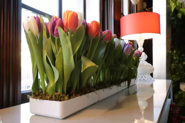 How To Make This Years Easter Flowers Bloom Again Next Year
