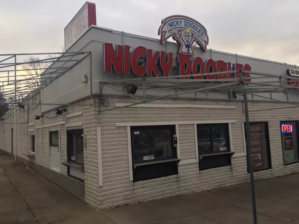 When Does New Hartford Nicky Doodles Open?