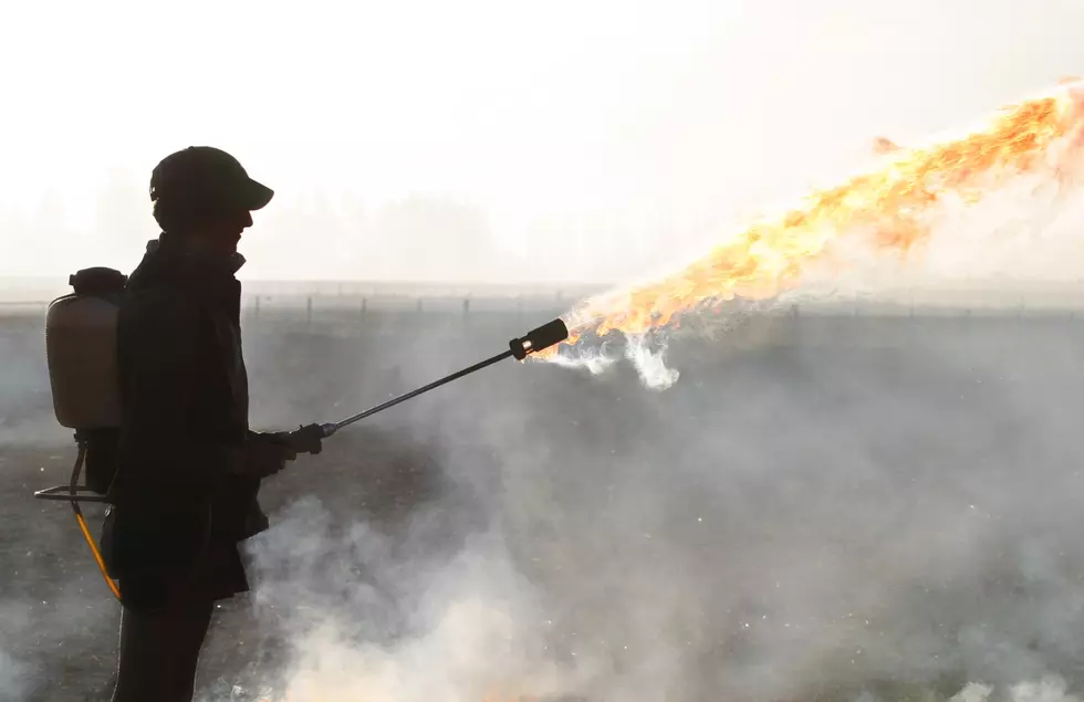 New York Bans Flamethrowers ~ Wait, They Were Legal?