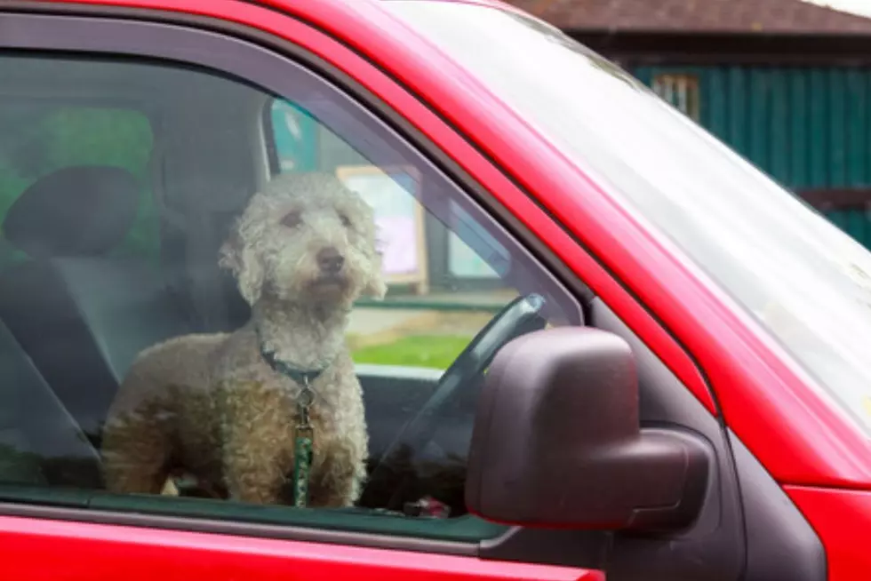 First Responders Can NOW Break Into A Vehicle To Save A Pet