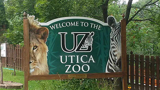 Don&#8217;t Miss The Last Late Friday At The Utica Zoo