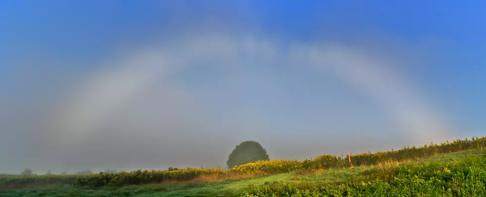 What Is A Fogbow Or White Rainbow?