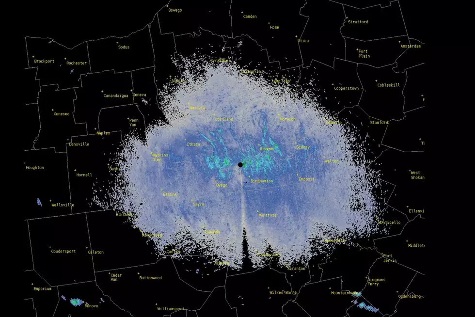 National Weather Service Radar Captures A 'Birdburst'