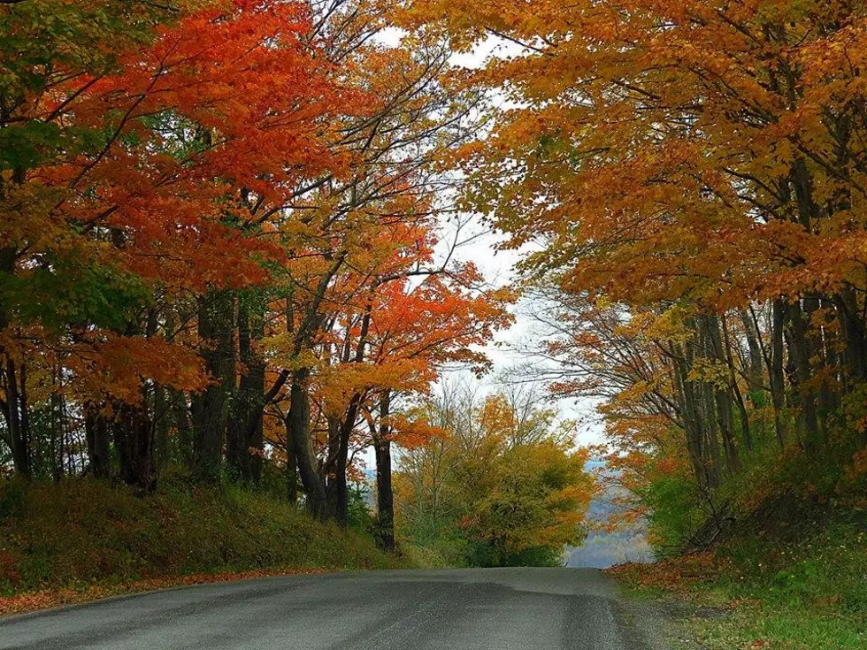 Adirondacks Will See Peak Fall Colors This Weekend