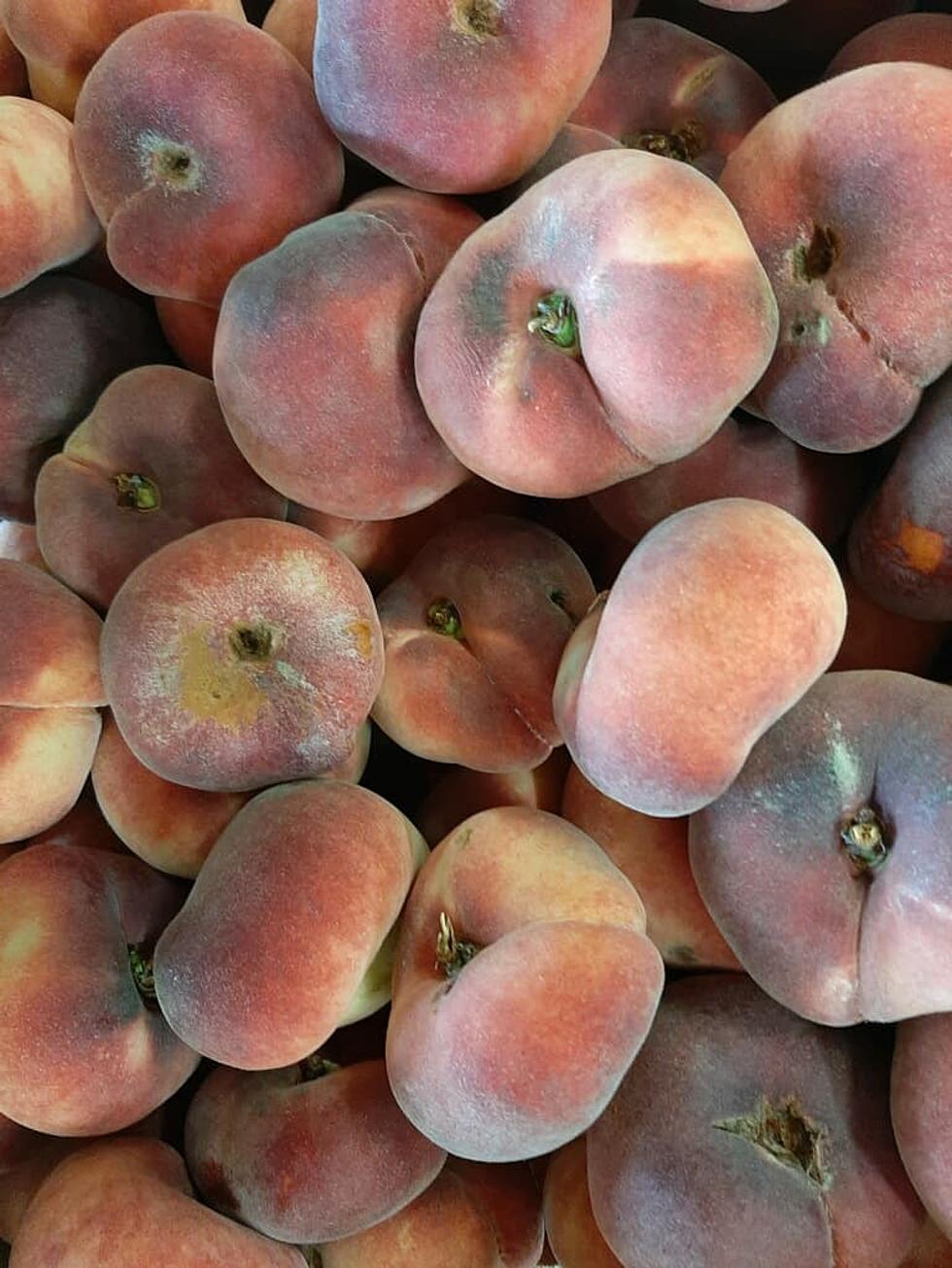 Utica/Rome ‘Donut Peaches’ are Juicy and Candy Sweet