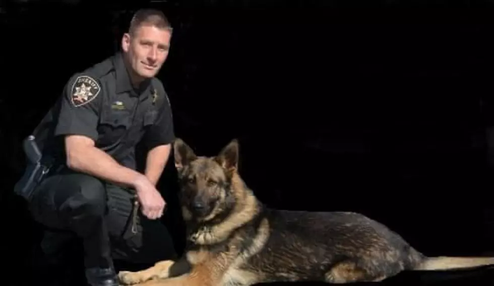 K9 Drago Rescues Elderly Endangered Missing Man