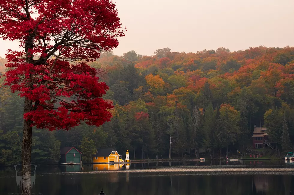 Fall Foliage Report for Central New York and The Adirondacks