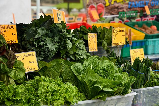 Farmers And Vendors Wanted For New Farmers&#8217; Market Opening In Rome