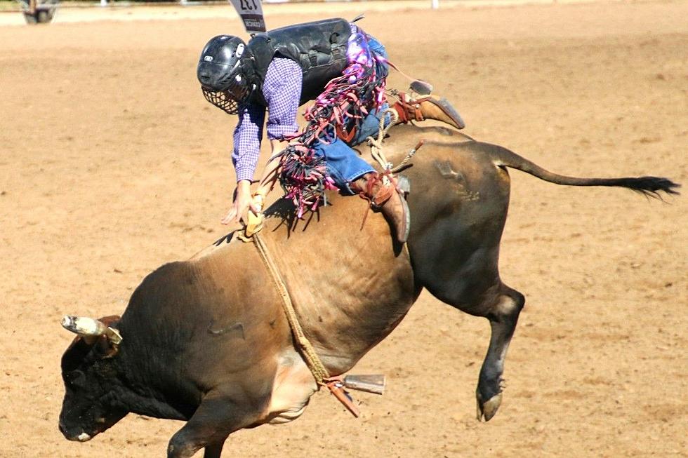 Wheatland Was the Latest Stop on the Prep Rodeo Circuit