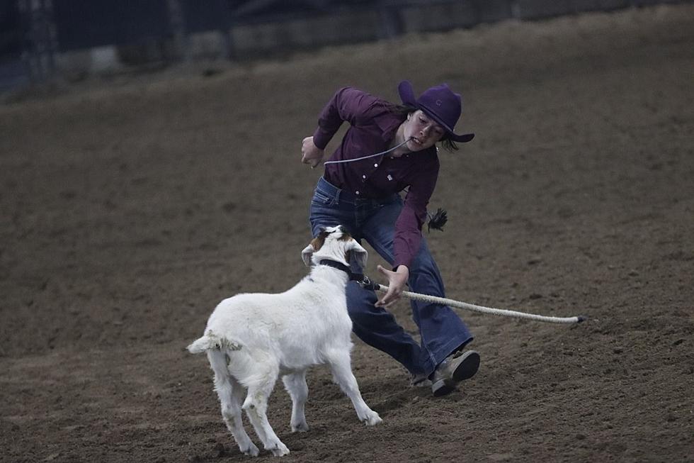 Prep Rodeo Circuit Rolls Through Newcastle