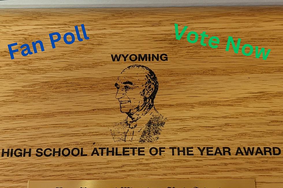 Vote for Your Choice to Win the 2023 Simpson Awards [POLLS]