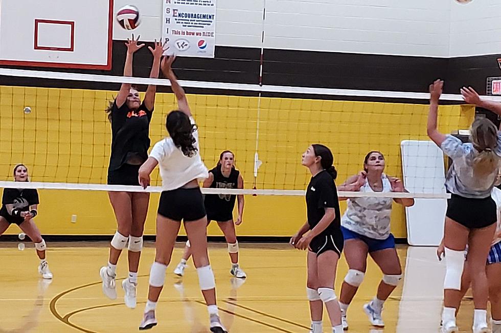 WCA South Volleyball Preview