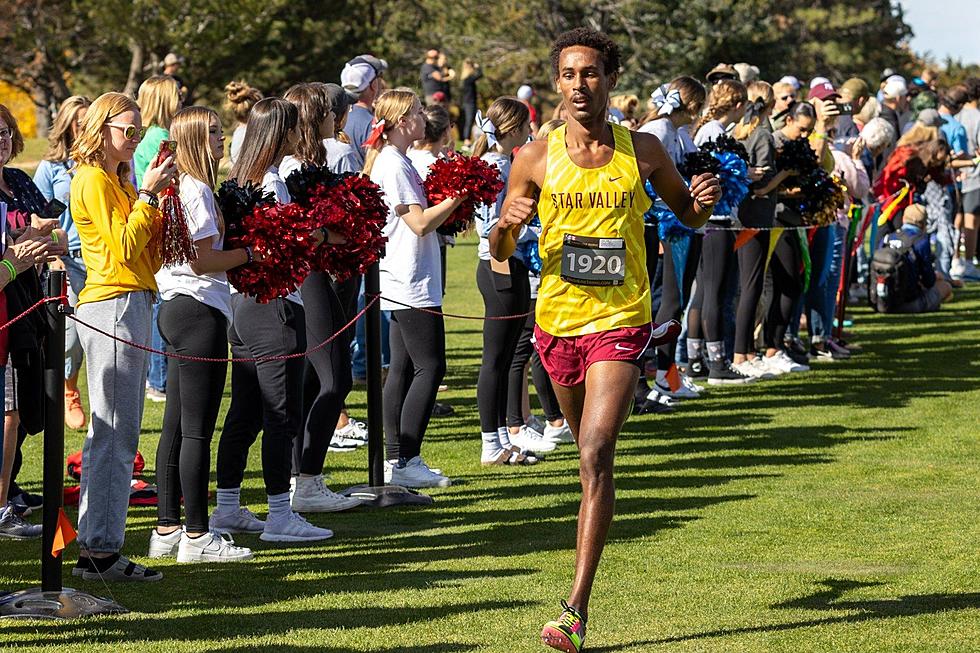 Star Valley’s Habtamu Wetzel is the WyoPreps Athlete of the Year for Boys Cross Country [VIDEO]