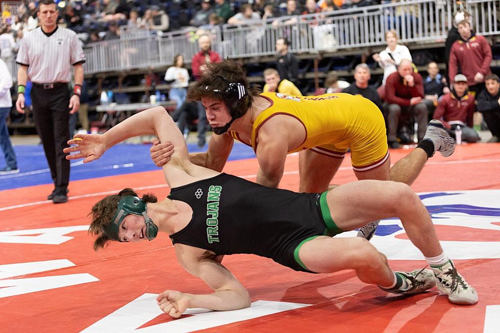 PhotoFest: State Wrestling-3rd & 5th Place Matches
