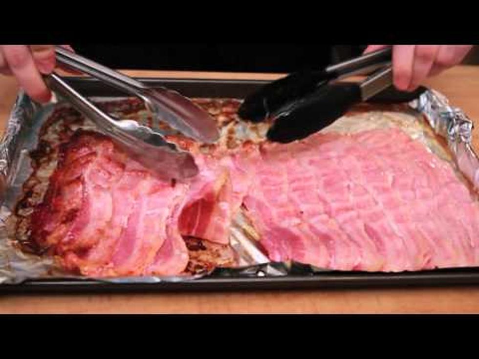 Maximum Protein Experience – Epic Meal Time [VIDEO]