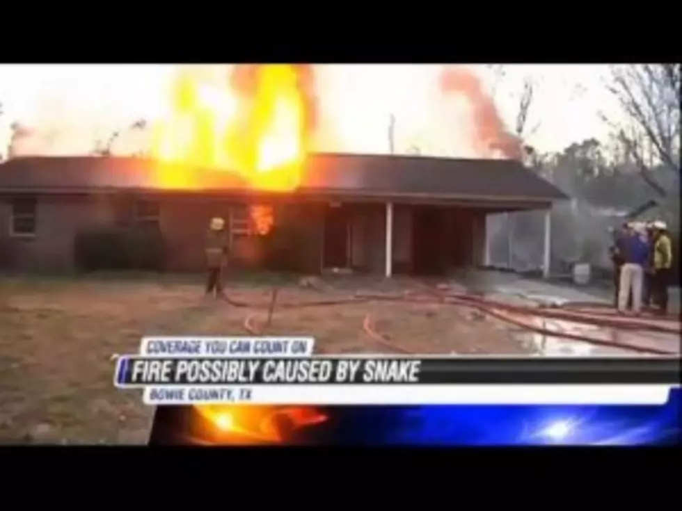 Texas Woman Lights Snake on Fire &#038; it Burns Down Her House